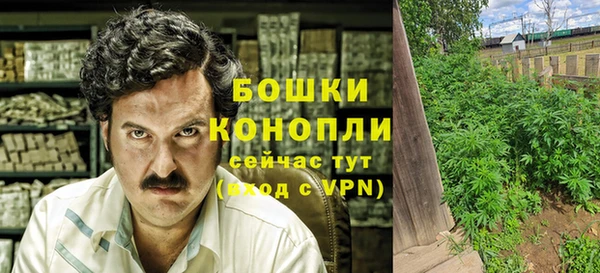 крисы Баксан