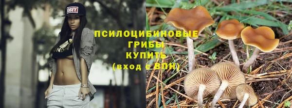 метадон Армянск
