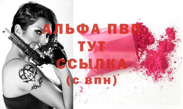 крисы Баксан