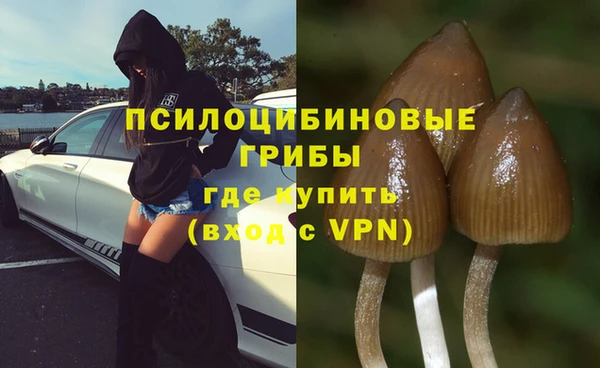 метадон Армянск